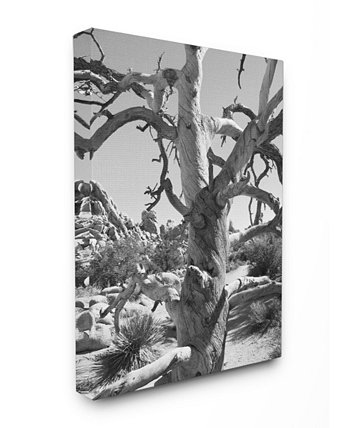 Картина на холсте с изображением дерева пустыни, 30 "x 40" Stupell Industries