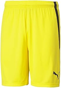 PUMA Men's Teamliga Shorts Puma