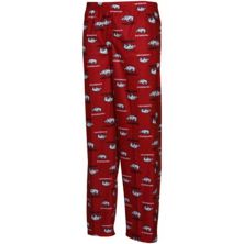 Фланелевые пижамные штаны с логотипом команды Arkansas Razorbacks Youth Cardinal Team Unbranded