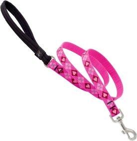 LupinePet Padded Handle Dog Leash LupinePet