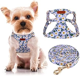 CHEDE No Pull Floral Pattern Dog Harness- Lightweight and Soft Dog Harness, Adjustable Small Dog Harness and Leash Set, with Dog Leash, Suitable for Puppy Small and Medium-Sized Dog Chede