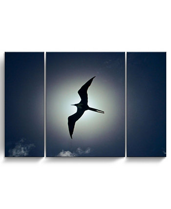 Набор из 3 предметов обернутый холст с изображением дикой природы Frigatebird, 32 "x 48" Ready2HangArt