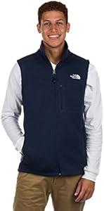 THE NORTH FACE Tsillan Men'sVest The North Face