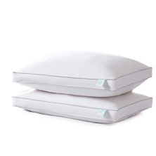 Martha Stewart Firm 2-Pack White Feather & Down Pillows Martha Stewart