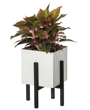 Indoor and Outdoor Planting Box, Large Planter Vintiquewise