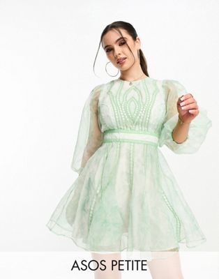  Женское платье ASOS DESIGN Petite в зеленом принте с вставками из кружева и вышитой органзой в стиле skater ASOS Petite