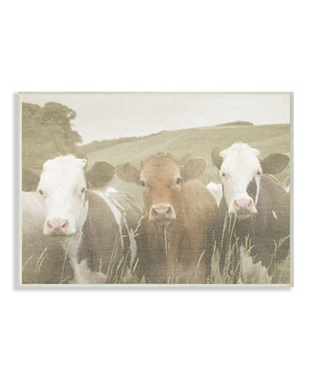 Настенная табличка "Счастливые соседи" Коровы в поле, 10 "x 15" Stupell Industries