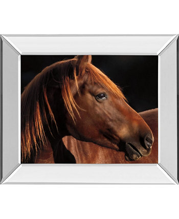 Картина "Красивая девушка" Каро в зеркальной рамке с фотопринтом - 22 "x 26" Classy Art