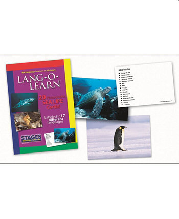 Lang-O-Learn ESL Sea Life Словарь карточек флэш-карт Stages Learning Materials