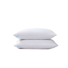 Martha Stewart TENCEL™ Lyocell over White Feather &amp; Down 2 Pack of Pillows Martha Stewart