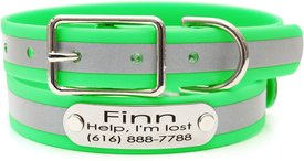 Mimi Green Waterproof Reflective with Riveted Name Plate Dog Collar Mimi Green