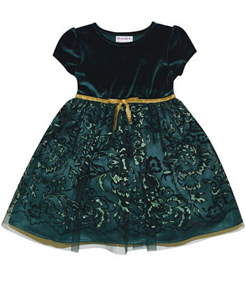 Бархатный лиф с короткими рукавами и юбка из тюля для маленьких девочек Платье Blueberi Boulevard