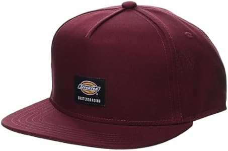 Dickies mens Skateboarding Mid Pro Cap Dickies