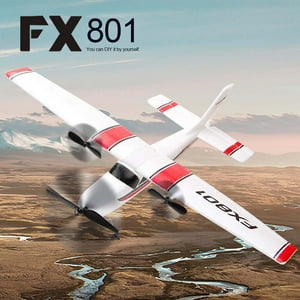 RC Plane, 2.4GHz 2 Channel Remote Control Airplane, EPP Foam RC Airplane, Fixed Wing RC Aircraft, Easy to Fly RC Glider for Beginners and Adult Anself