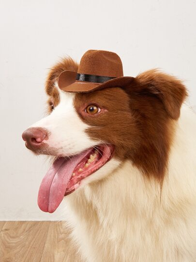 1шт Ковбойская шляпа для домашних животных SHEIN
