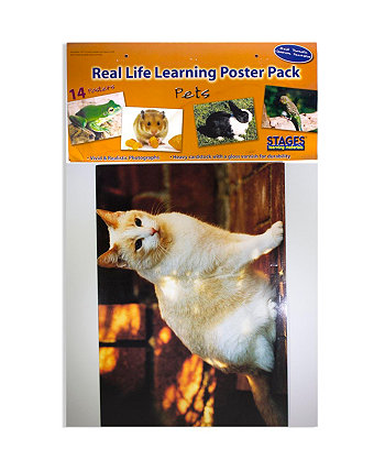 Real Photo Pets Набор плакатов Stages Learning Materials