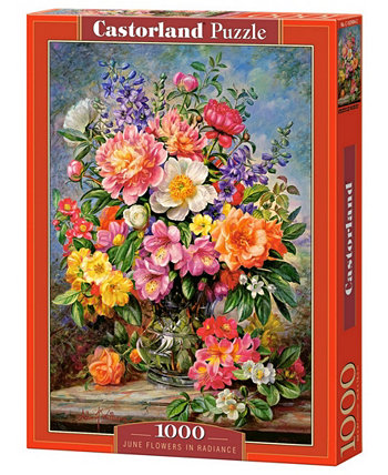 Набор пазлов «Июньские цветы в сиянии», 1000 деталей Castorland