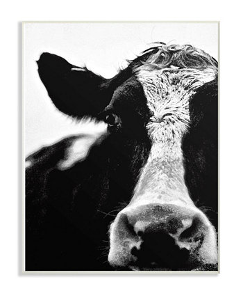 Настенная табличка "Корова черно-белая крупным планом", 10 "x 15" Stupell Industries