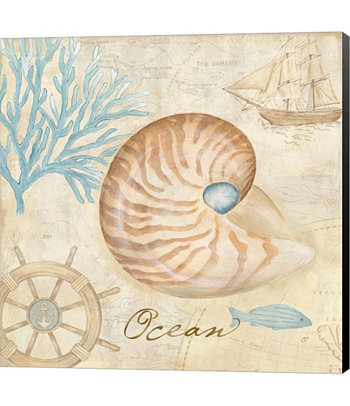 Морские ракушки III от Cynthia Coulter Canvas Art Metaverse
