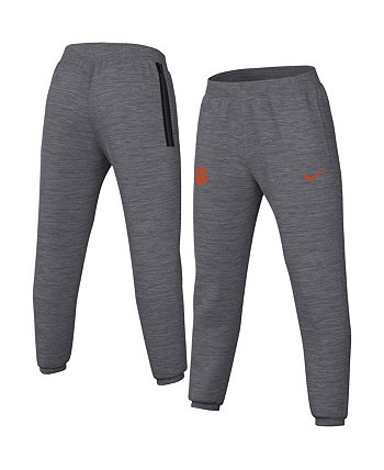 Мужские брюки Heather Grey Clemson Tigers Team Logo Spotlight Performance Nike