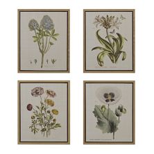 Martha Stewart Herbal Botany Набор из 4 предметов для настенного искусства в рамке Martha Stewart