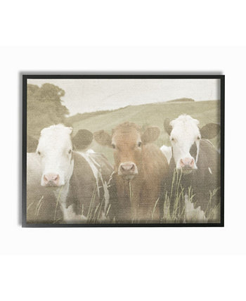 Коровы в поле «Счастливые соседи» в рамке «Жикле», 16 "x 20" Stupell Industries