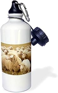 Спортивная бутылка Sweet Sheep-Herds-Animals, 621 мл, Нержавеющая сталь, Белая 3dRose