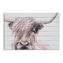 Галерея 57 Highland Cow Wood Wall Art Gallery 57