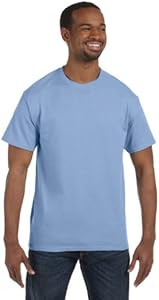 5250T Hanes Men's Authentic-T T-Shirt Hanes