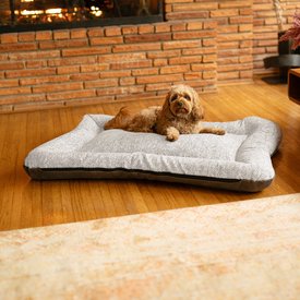 Snoozer Pet Products All Day with Cloud 9 Ash Reversible Premium Microsuede Dog & Cat Bed Snoozer Pet Products