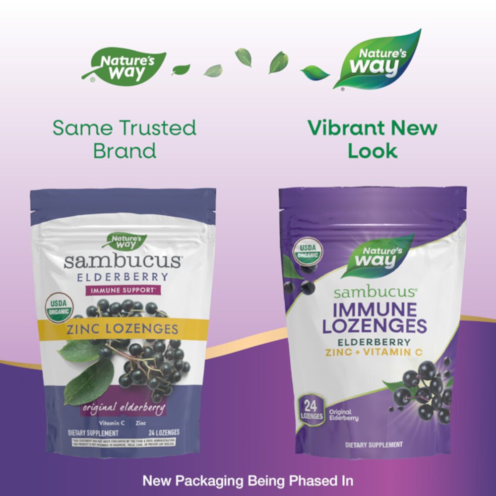 Sambucus Organic Zinc Lozenges (Пастилки) with Elderberry and Vitamin C -- 24 Lozenges Nature's Way