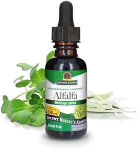 Nature's Answer Alcohol-Free (Безалкогольный) Alfalfa Herb Extract, 1-Fluid Ounce Supports Immune System, Blood, Digestion, Energy Levels - Helps with Detoxification Nature's Answer