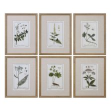 Абсолютно зеленый цветочный ботанический кабинет в рамке Wall Art из 6 предметов Uttermost