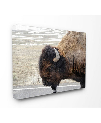 Картина на холсте "Красивая фотография буйвола", 16 "x 20" Stupell Industries