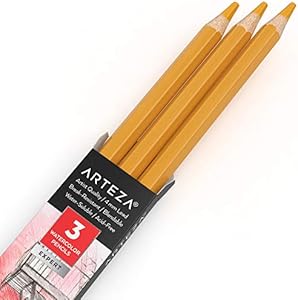 Arteza Professional Watercolor Pencils, Pack of 3, A008 Cloudy Gray, Water-Soluble Pencils for Coloring, Blending, Layering & Watercolor Techniques ARTEZA