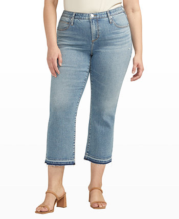 Укороченные джинсы Eloise со средней посадкой размера плюс JAG
