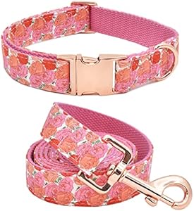 Bubblepup Dog Collar and Leash Set, Comfortable Adjustable Dog Collars for Small Medium Large Dogs Bubblepup