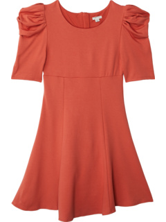 Puff Sleeve Flounce Dress (Big Kids) Habitual