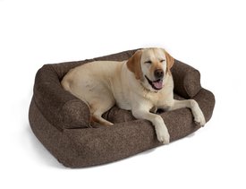 Snoozer Pet Products Show Dog Snoozer Overstuffed Sofa Dog & Cat Bed with Removable Cover Snoozer Pet Products