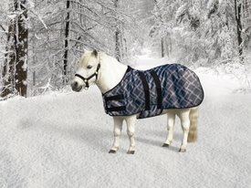 Kensington Protective Products Signature Mini Light Weight Horse Turnout Kensington Protective Products