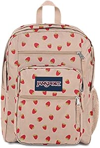 JanSport Laptop Backpack - Computer Bag with 2 Compartments, Ergonomic Shoulder Straps, 15” Laptop Sleeve, Haul Handle - Book Rucksack - 70S Space Dye Fresh Mint JanSport