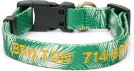 Boulevard Personalized Palm Dog Collar Boulevard