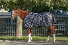 Kensington Protective Products Signature Heavy Weight Horse Turnout Blanket Kensington Protective Products