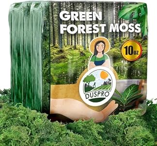 DUSPRO Green Moss for Crafts Decorative Moss Filler for Planters Moss Decor for Table Centerpieces Wedding Christmas Fairy Party Decor, Green Moss for Indoor Planters, DIY Project 1.25 LBS Duspro