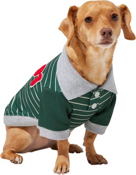 Frisco Green Rugby Dog & Cat Polo Shirt Frisco