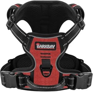 BARKBAY Dog Harness No Pull for Small Dogs - Adjustable, Reflective, Comfortable, No Choke, Heavy-Duty - Perfect for Outdoor Training, Walking, and Hiking - Strong & Durable - S & Black Barkbay