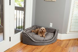 Snoozer Pet Products Luxury Corner Bolster Dog Bed with Removable Cover Snoozer Pet Products