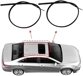 1 Pair Molding Side Left and Right Side Compatible with 2007-2011 Toyota Camry Replaces 75555-06030 75556-06030 Roof Drip Molding Strips Cool Star