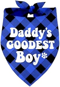 Собачья бандана Daddy's Boy, двойная ткань, обхват шеи 68.5 см Razpah