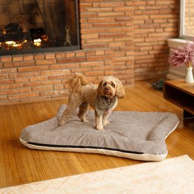 Snoozer Pet Products All Day with Cloud 9 Ivory Reversible Premium Microsuede Dog & Cat Bed Snoozer Pet Products